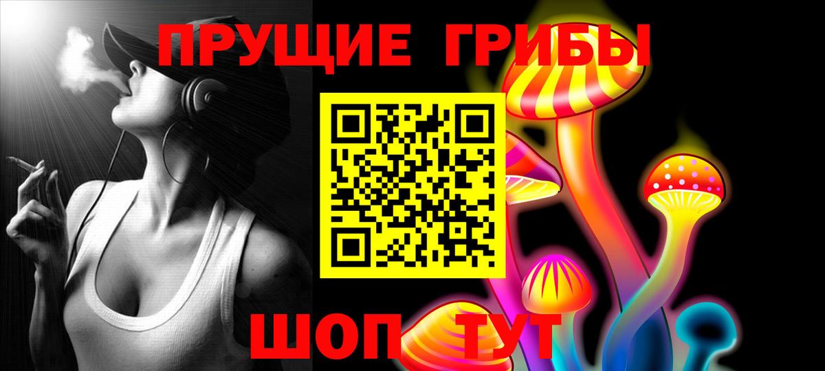 Галлюциногенные грибы Psilocybe Чехов